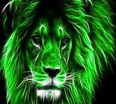 Mister Green Lion Lions Photos Lion Wallpaper Lion Art