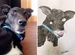 We did not find results for: Funny Pet Portraits Charity Hercule Van Wolfwinkle Funny Animal Images Pet Portraits Cute Funny Dogs