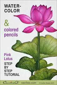 Image result for Lotus