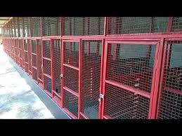 Maybe you would like to learn more about one of these? Model Kandang Ayam Bangkok Dari Kayu Blog Spots