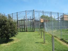 Outdoor Bird Aviary For Sale Uk Pin Di Animal Wonders Su Aviaries Exhibits
