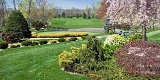 We were a little worried about getting out of lawn w/a view as it's on the very tip of the peninsula. Tower Herbicide Preemergent Control Golf Course Weeds Basf Turfgrass Turf Grass Care Products