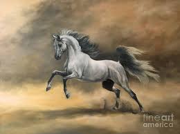 Arabian Painting Arabian Fine Art Print Horses Horse Art Arabian Art