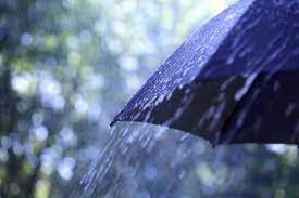 Opnieuw Waarschuwing Voor Regen En Onweer In Brabant Brabant Bd Nl