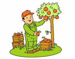 Ver más ideas sobre dibujos para niños, agricultor, niños y niñas animados. Dibujo De Un Agricultor Pintado Por En Dibujos Net El Dia 25 06 17 A Las 01 25 22 Imprime Pinta O Colorea Tus Propios Dibujos