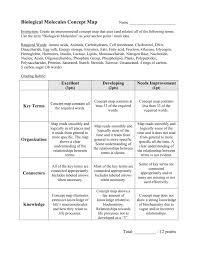 biological molecules concept map