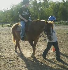 Noah Brassil Obituary (2016)