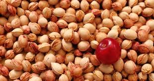 Pour Les Amateurs Qui Veulent Germer Un Cerisier A Partir D Un Noyau Retrouvez Dans Cet Article Comment F Faire Pousser Un Avocatier Arbre Fruitier Mure Fruit