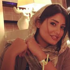 درباره نوین وردپرس