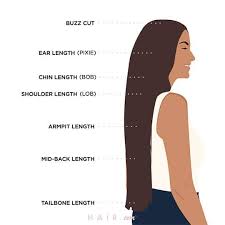 Like we've said before, the growth of your hair depends on many different factors, and the time taken for hair to grow will vary from person to person. Hair Length Chart Every Single Cut Length You Need To Know Hair Com By L Oreal