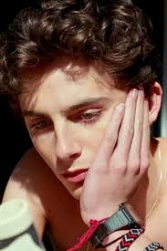 Call Me By Your Name Timothee Chalamet Timothee Chalamet Pretty People Portrait