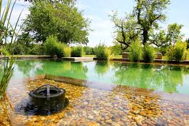 This article is a full guide on how you can make your pond water clear again. Natural Swimming Ponds With Chemical Free Water Clear Water Revival