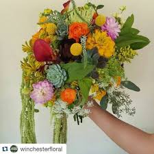 See more ideas about avas flowers, flowers, order flowers online. Winchester Floral 1939 Valley Ave Winchester Va Florists Mapquest
