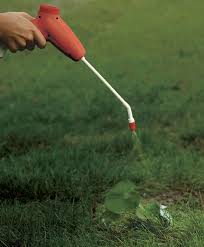 I believe she said shelf life was 4 years. Setting The Record Straight On Glyphosate Finegardening