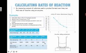How do you calculate the rate of reaction? Calculating Rates Of Reaction 2016 Ib Biology Youtube