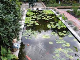 Big Koi Fish Pond Design Ideas Ponds Backyard Koi Fish Pond Fish Ponds