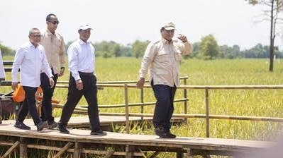 Prabowo Pimpin Panen Raya Serentak di Indonesia Hari Ini