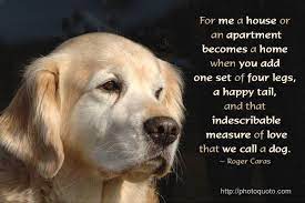 Pin By Ina Kik On Good Articles Pics And Sayings Animal Lover Quotes Animal Love Quotes Dog Quotes