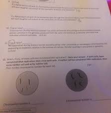 We did not find results for: 9 1 2 Pt If A Diploid Animal Cell With 32 Animal Chegg Com