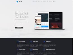 Home Page Peak Wordpress Theme