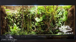 Pin On Vivarium