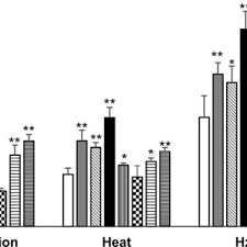 Image result for Xerophyta schlechteri