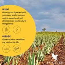 900 Flp Ideas Forever Living Products Forever Products Forever Aloe