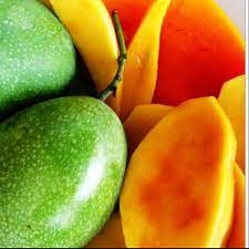 Madu hitam pahit adalah madu yang berasal dari jenis lebah penghisap nektar (apis mellifera). Anak Pokok Mangga Mas Hitam 100 Hybrid Shopee Malaysia