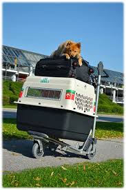 We did not find results for: Ich Mochte Auf Meinem Flug Ein Haustier Mitnehmen Flughafen Prag Prg