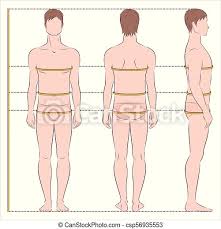 Maybe you would like to learn more about one of these? Men Body Measurements Vector Illustration Of Mens Body Measurements For Clothing Design And Sewing Front Back Side Views Canstock