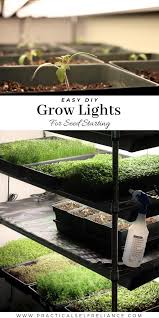 For our system we used led grow lights. Diy Grow Lights For Seed Starting