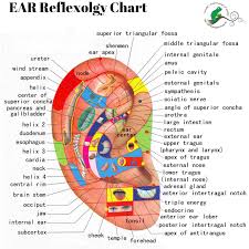 Pin On Massage Therapy