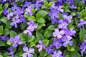 Xxx Gaja Bertolin ive is in her twenties