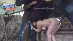 pin by مرزوق مرزوق on فيديوهات horses blog posts