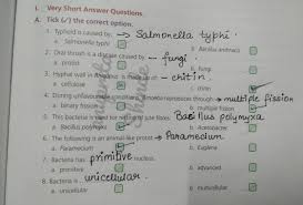 Pin By Happyheartsmiles On Grade 8 Icse Hindi Worksheets By Anuprita Shinde In 2020 Hindi Worksheets Protists Short Answers