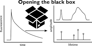 Image result for Champaign 1997 Vector