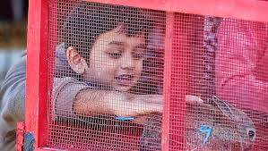 Earth Day: Down to Earth Fest at Shelby Farms