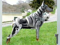 But if you don't have the time to make a costume, you can find some for sale here dog costumes. Doberman Pinscher Loyal And Fearless Dog Halloween Costumes Dog Halloween Doberman