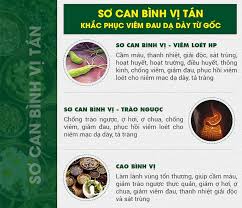 Hiện tại, bệnh nhân được sử dụng thuốc an thần, giảm đau, giãn cơ, thở máy, phải can thiệp bệnh nhân là trường hợp f2 (f1 cách ly tập trung đã âm tính 3 lần), tự cách ly tại nhà. Ä'au ThÆ°á»£ng Vá»‹ Dáº¡ Day Cach Nháº­n Biáº¿t Va Ä'iá»u Trá»‹ Chi Tiáº¿t Tin Tá»©c Ubnd Tá»‰nh Báº¯c Giang