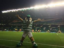 Pin On Hh At Paradise Celtic Fc