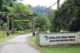 Established in 1900 and was responsible to the state government in administering the state's forest resources. Jeram Tengkek Waterfall Look Out For Goblins