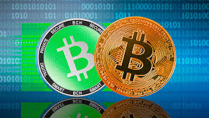 What will bitcoin be worth in 2030? Bitcoin Vs Bitcoin Cash Which Crypto Should You Buy In 2021 Trading Education