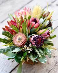 Pin On Protea Arrangements