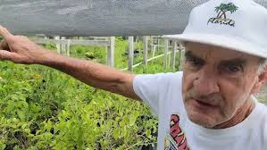 A Tour Of Pizzo Wholesale Native Plant Nursery