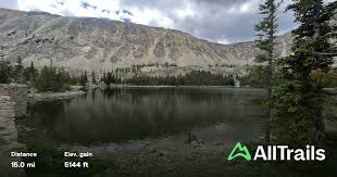 Image result for Harungana montana