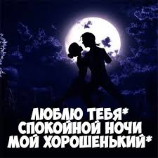 Ok Google как будет по английски я тебя люблю Kartinki S Tekstom Spokojnoj Nochi Lyubimomu 38 Kartinok Naslazhdajtes Yumorom Humor Night Good Night