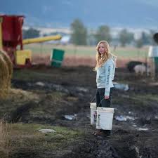 Carhartt signature logo printed on the left sleeve (as worn). Carhartt 102791 Women S Clarksburg Graphic Sleeve Logo Hooded Sweatshirt