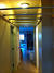 Indoor Monkey Bars For Adults