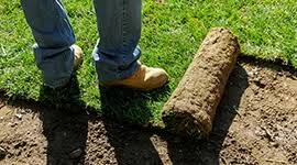 Maybe you would like to learn more about one of these? Sod Installation Ct