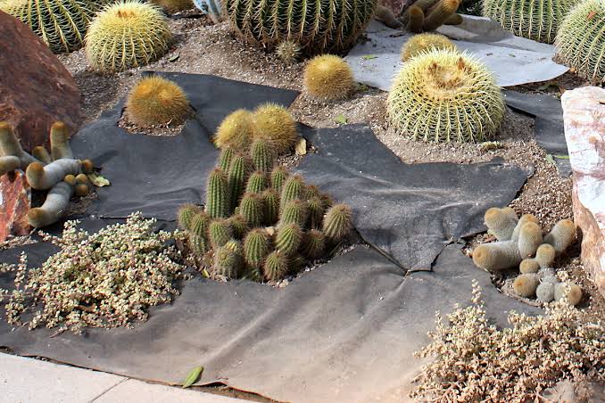 Rock garden Weed Barrier Fabric